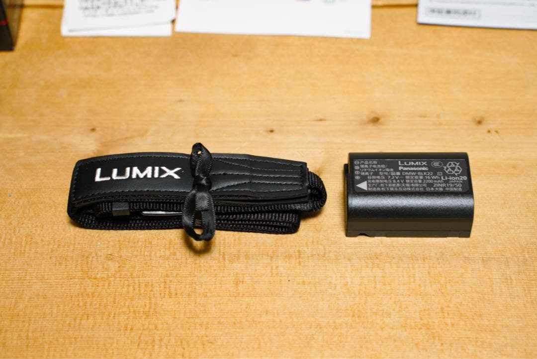 LUMIX S9＋SIGMA 24mm F3.5 DGDN＋おまけ