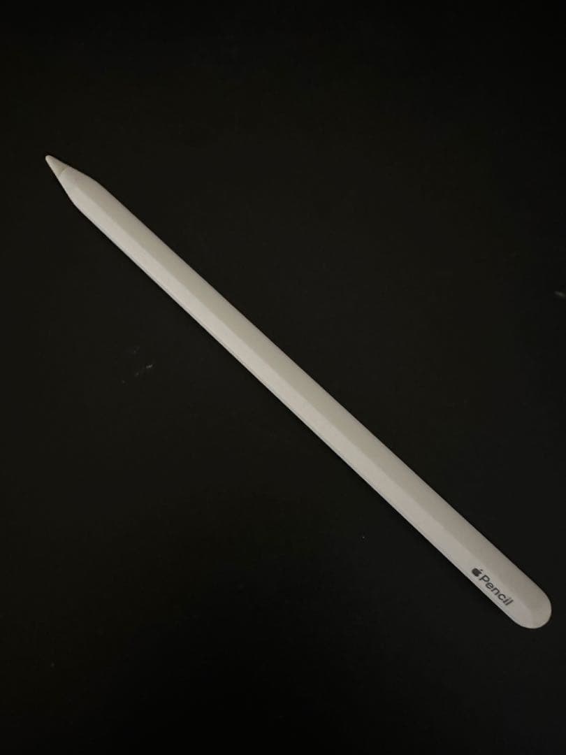 iPad pro 12.9インチ 第3世代 カバー& Apple Pencil付