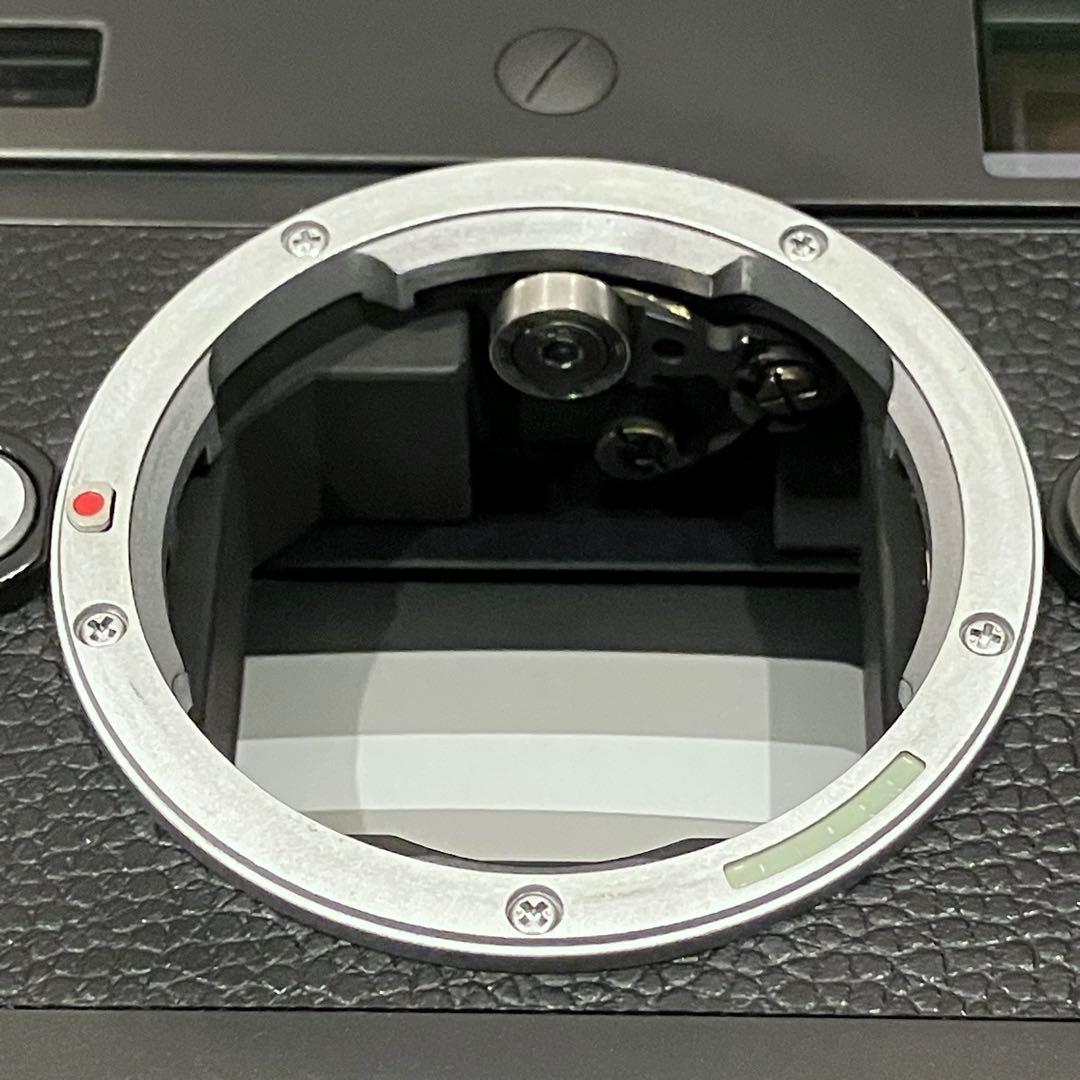 点検済 LEICA 246 M MONOCHROM +EVF2 +バッテリーx2