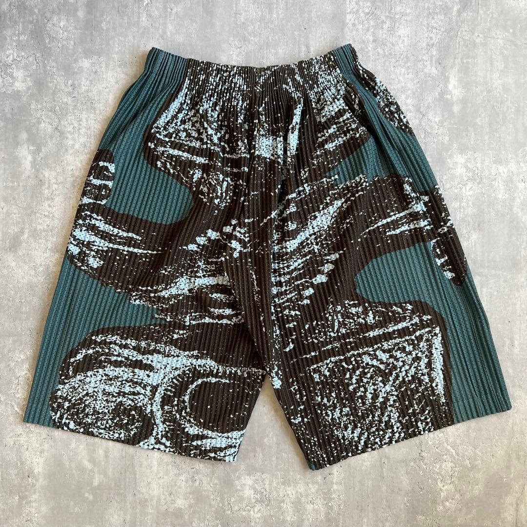 オムプリッセイッセイミヤケ　幻の一本　総柄　プリーツワイドショーツ　美品