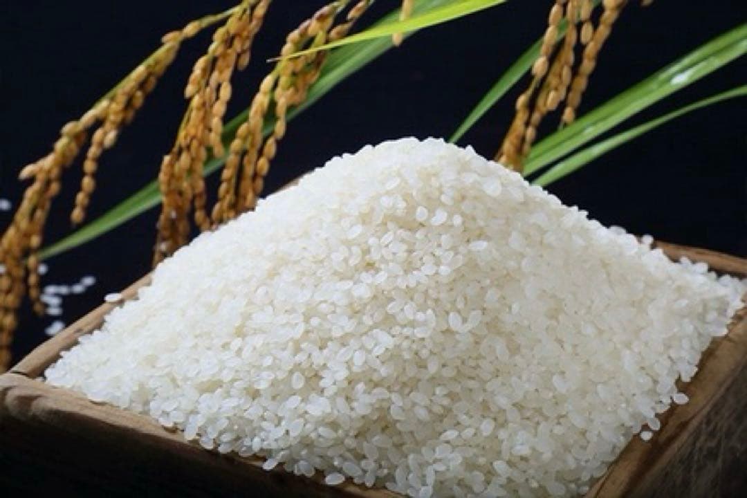 【精米無料】宮城県産 ひとめぼれ30kg 令和7年産新米　農家 農業 うまい