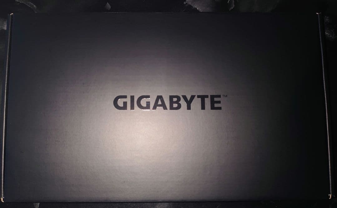 新品未使用品 グラボ Radeon G9 290 GV-R929D5-4GD-B