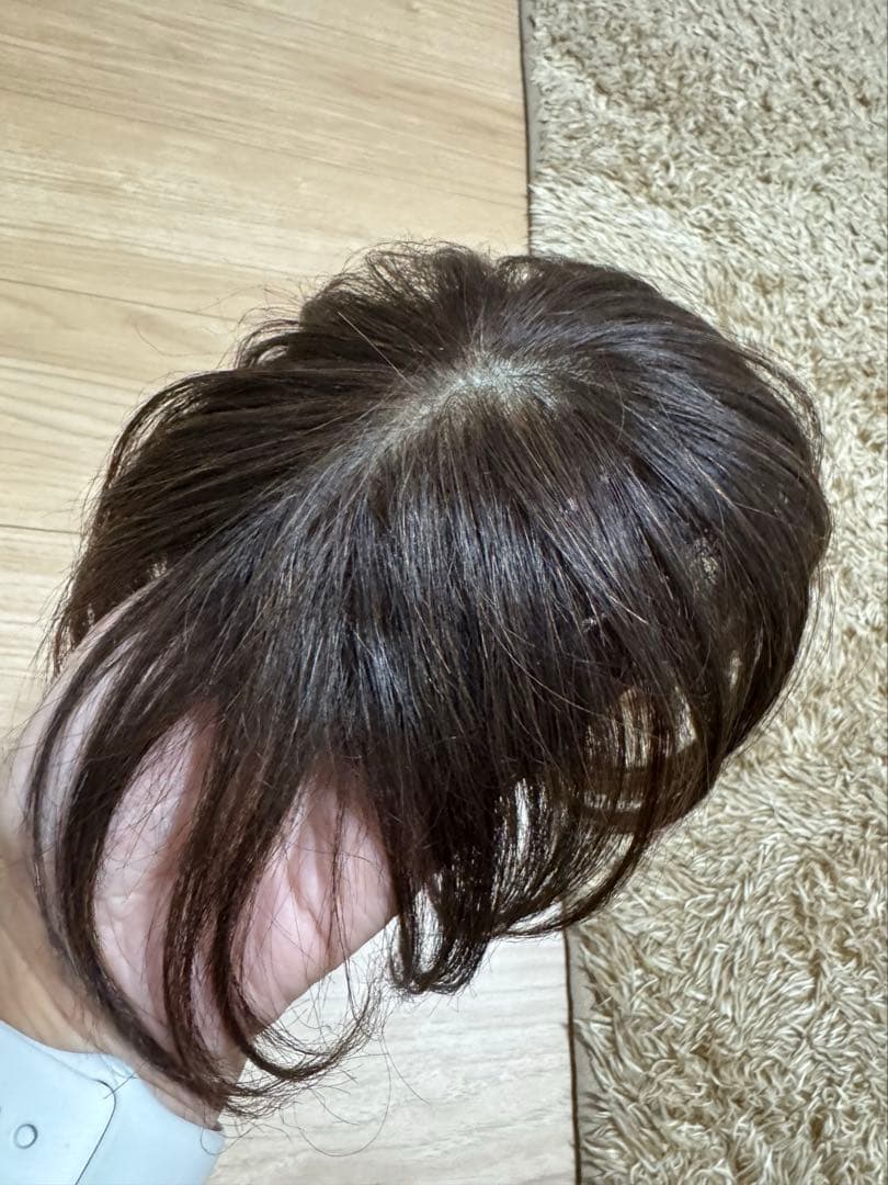 ダークブラウン ショートウィッグ クリップ式