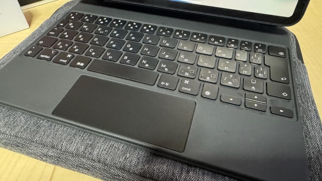 Apple iPad Pro 11インチ 第3世代 256GB Wifiセルラー