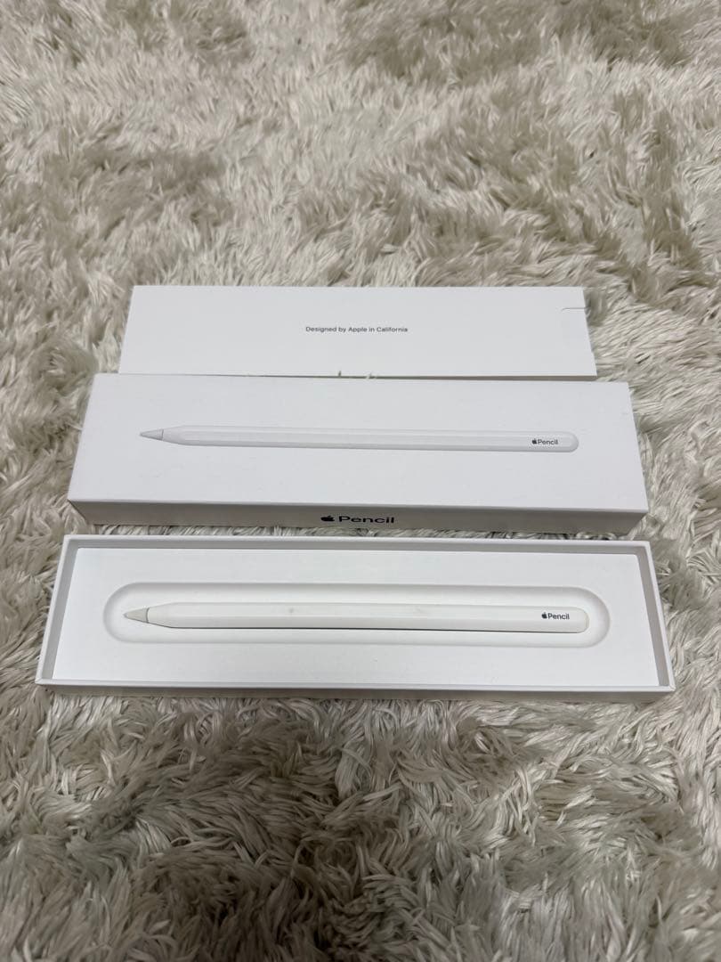 Apple iPad Pro 第2世代 11インチ + Apple Pencil