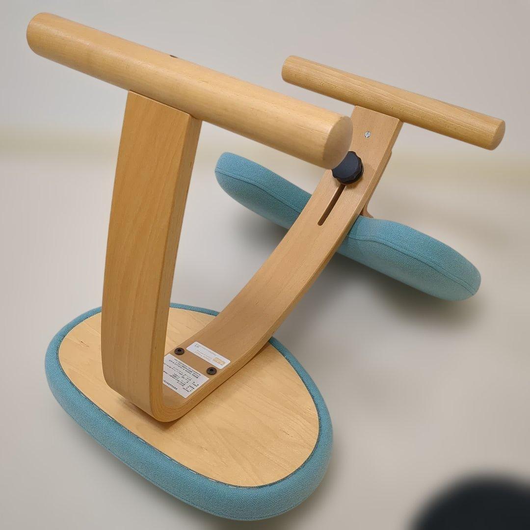 Rybo Balance Easy バランスイージー チェア　リボ社