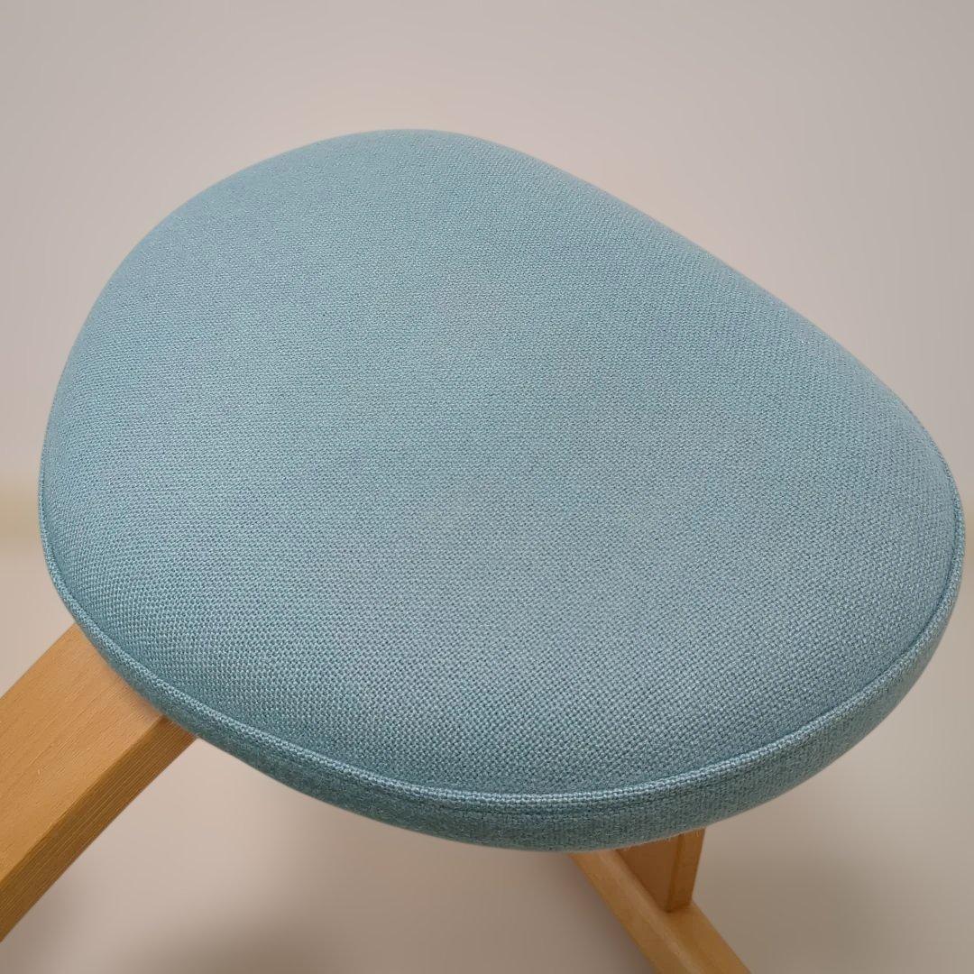 Rybo Balance Easy バランスイージー チェア　リボ社