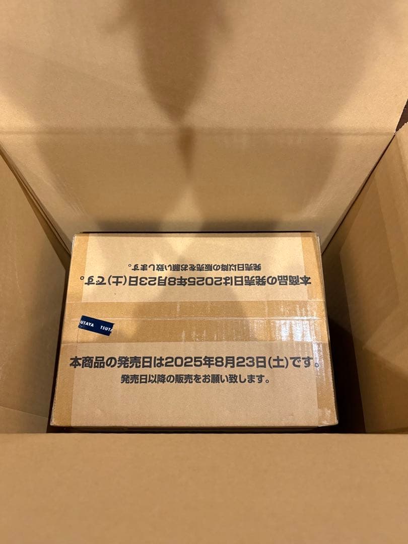 【新品未開封】ワンピースカード 受け継がれる意志 1カートン