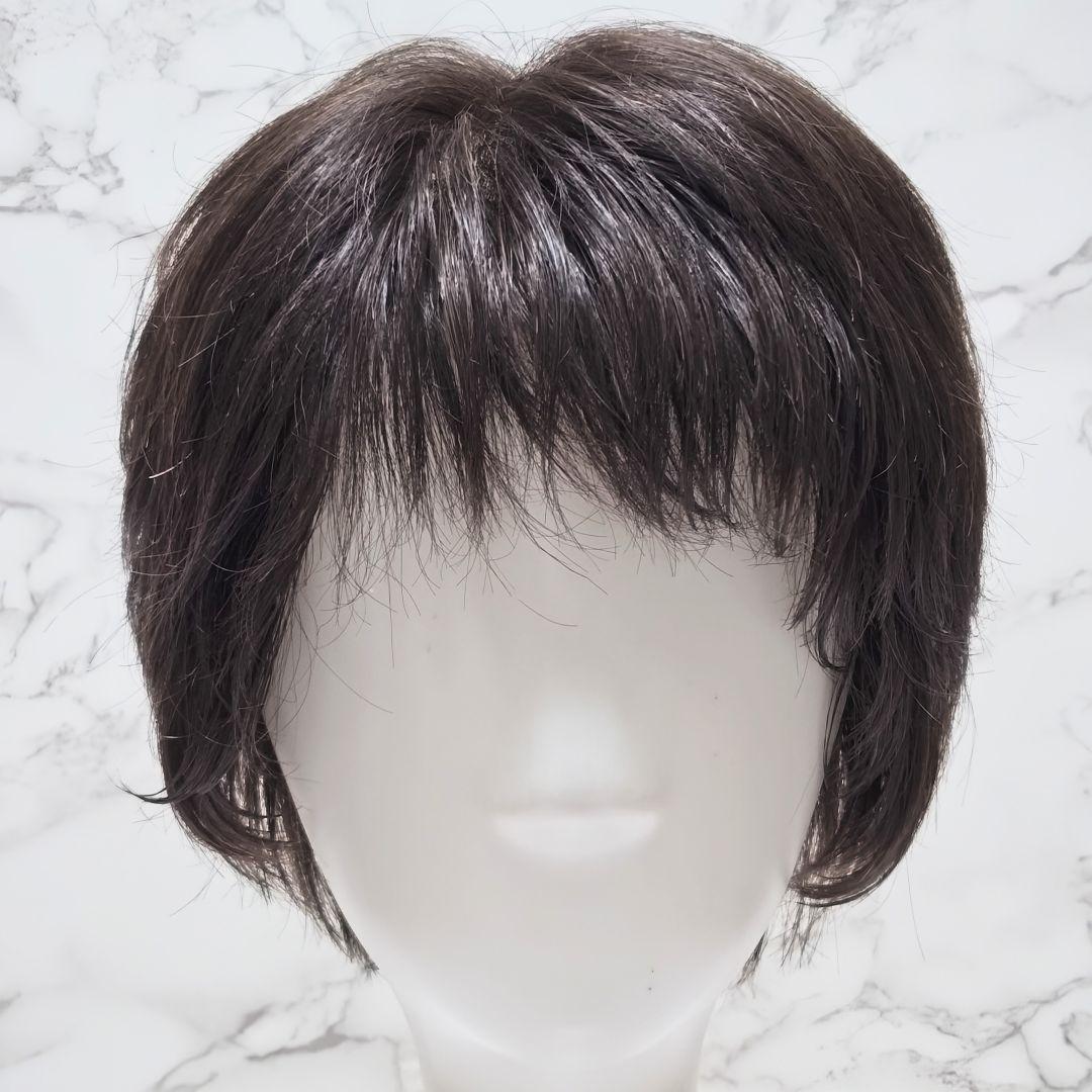 アートネイチャー アンクス AC01 LA5 医療用ショートウィッグ Sサイズ