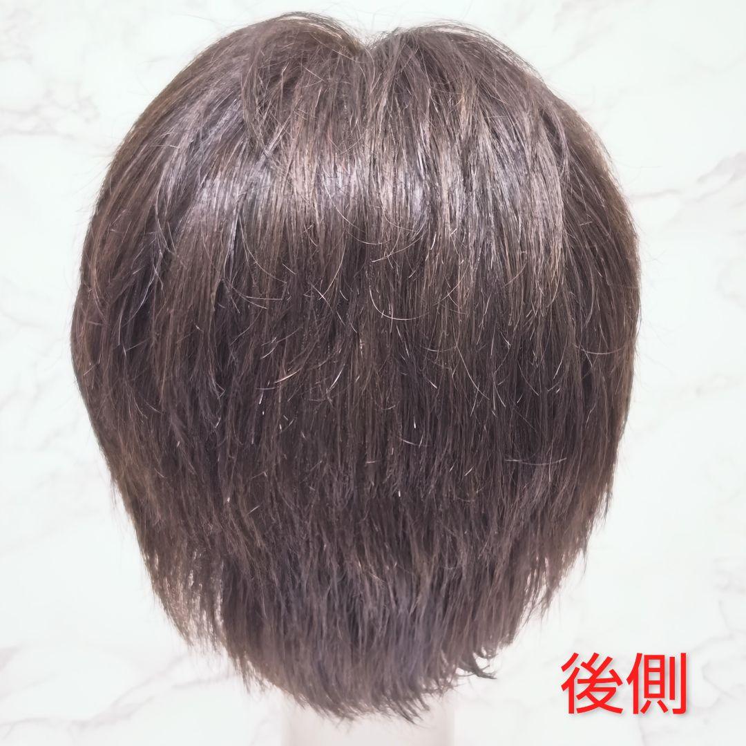 アートネイチャー アンクス AC01 LA5 医療用ショートウィッグ Sサイズ