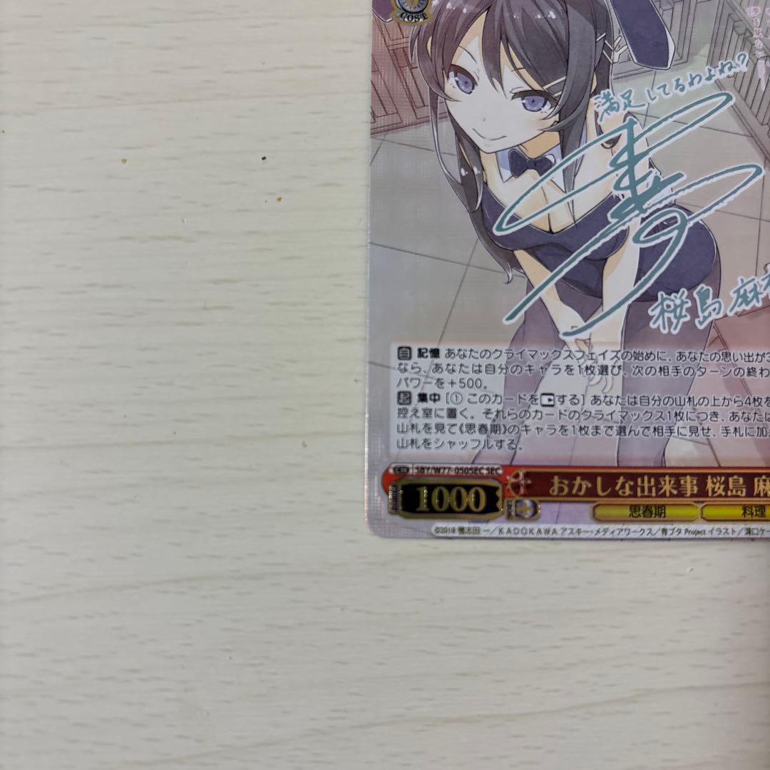 シ*見様 おかしな出来事　桜島麻衣　青ブタ　SEC サイン