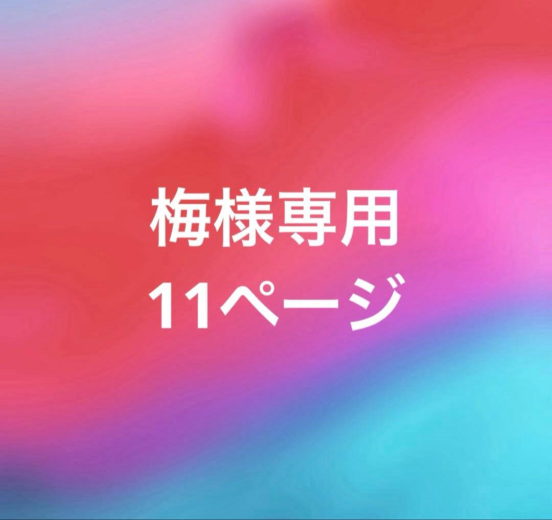 梅11ぺージ