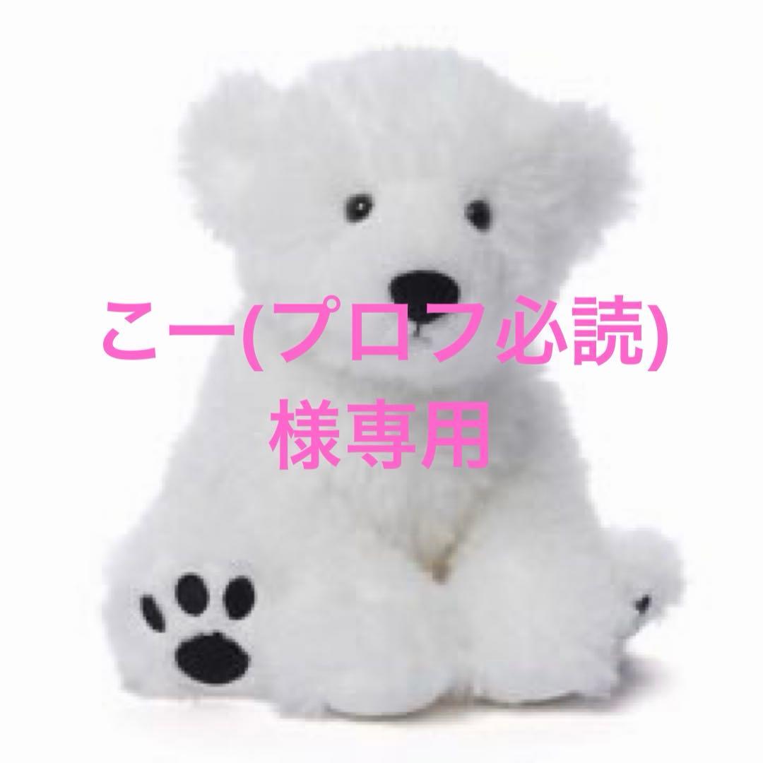 こー(プロフ必読)