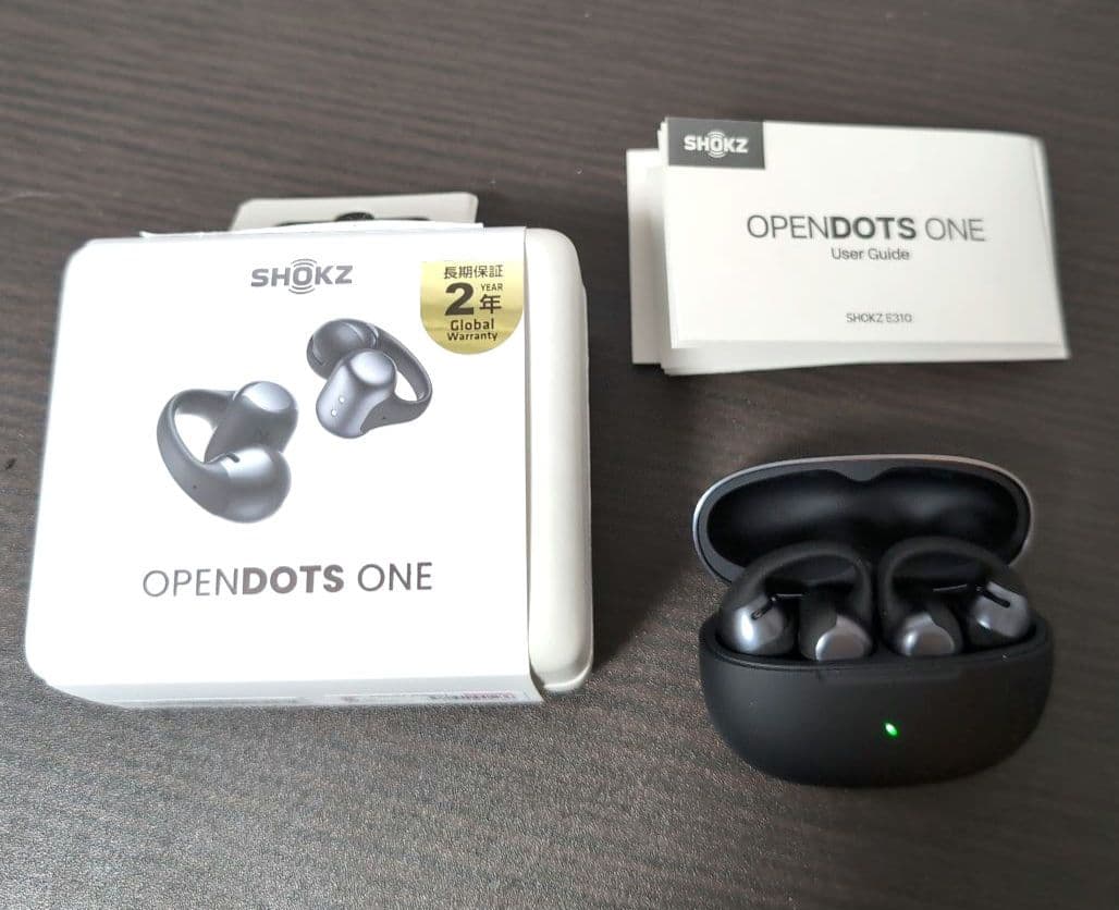 ジ*チ様 SHOKZ OpenDots ONE ブラック E310