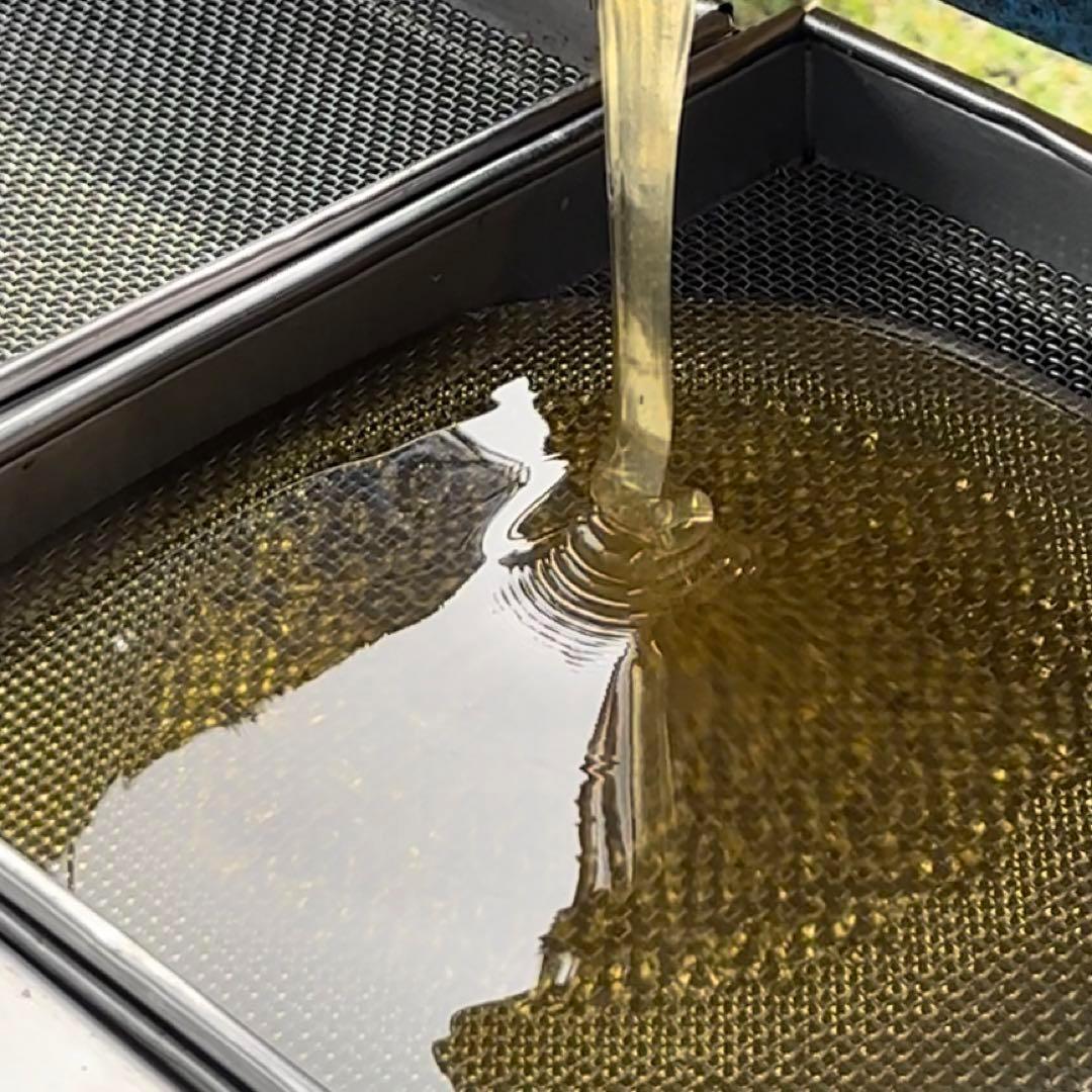 つかもと養蜂場　匠の天然蜂蜜　山の花々のはちみつ　600ｇ6本セット