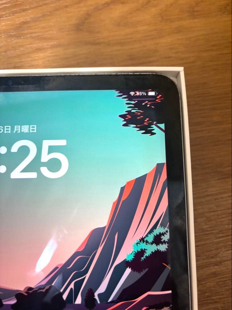 iPad Pro 11インチ 256GB WiFi （第2世代）スペースグレイ