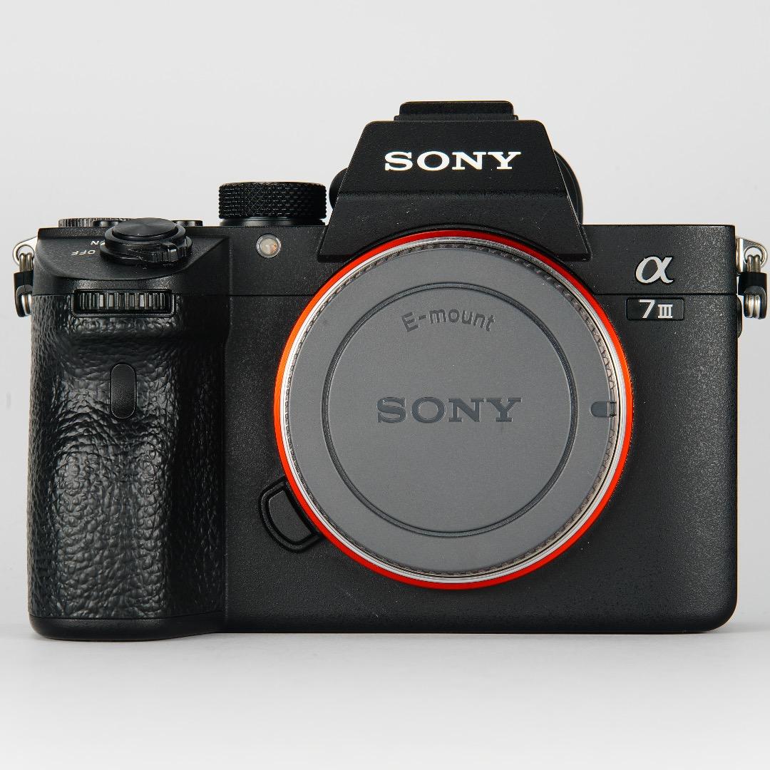 【完全セット】SONY α7III美品！11,056回/20万 すぐ撮影可能