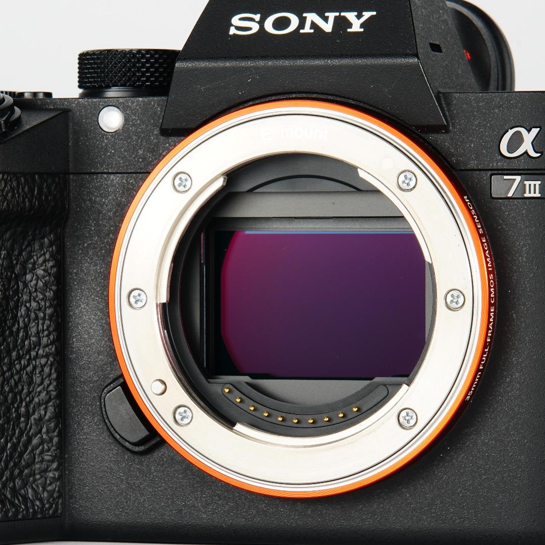 【完全セット】SONY α7III美品！11,056回/20万 すぐ撮影可能