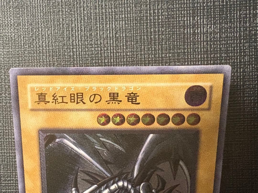 ヤ*）様 遊戯王 真紅眼の黒竜 レリーフ　親知らず個体