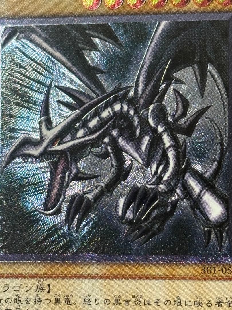 ヤ*）様 遊戯王 真紅眼の黒竜 レリーフ　親知らず個体