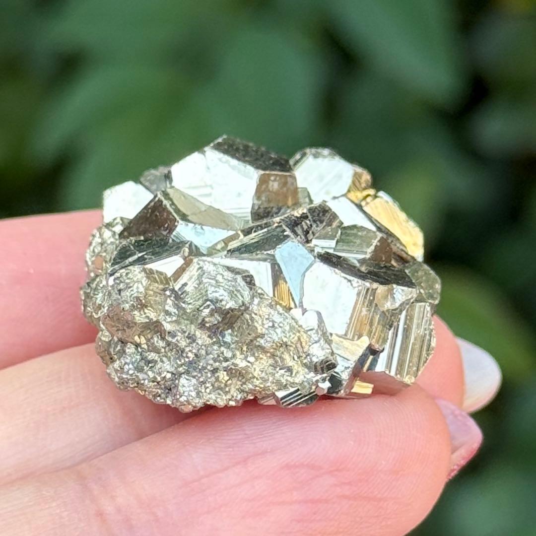 ピピ パイライト 黄鉄鉱 邪気祓い 鉱物標本コレクション MY1156