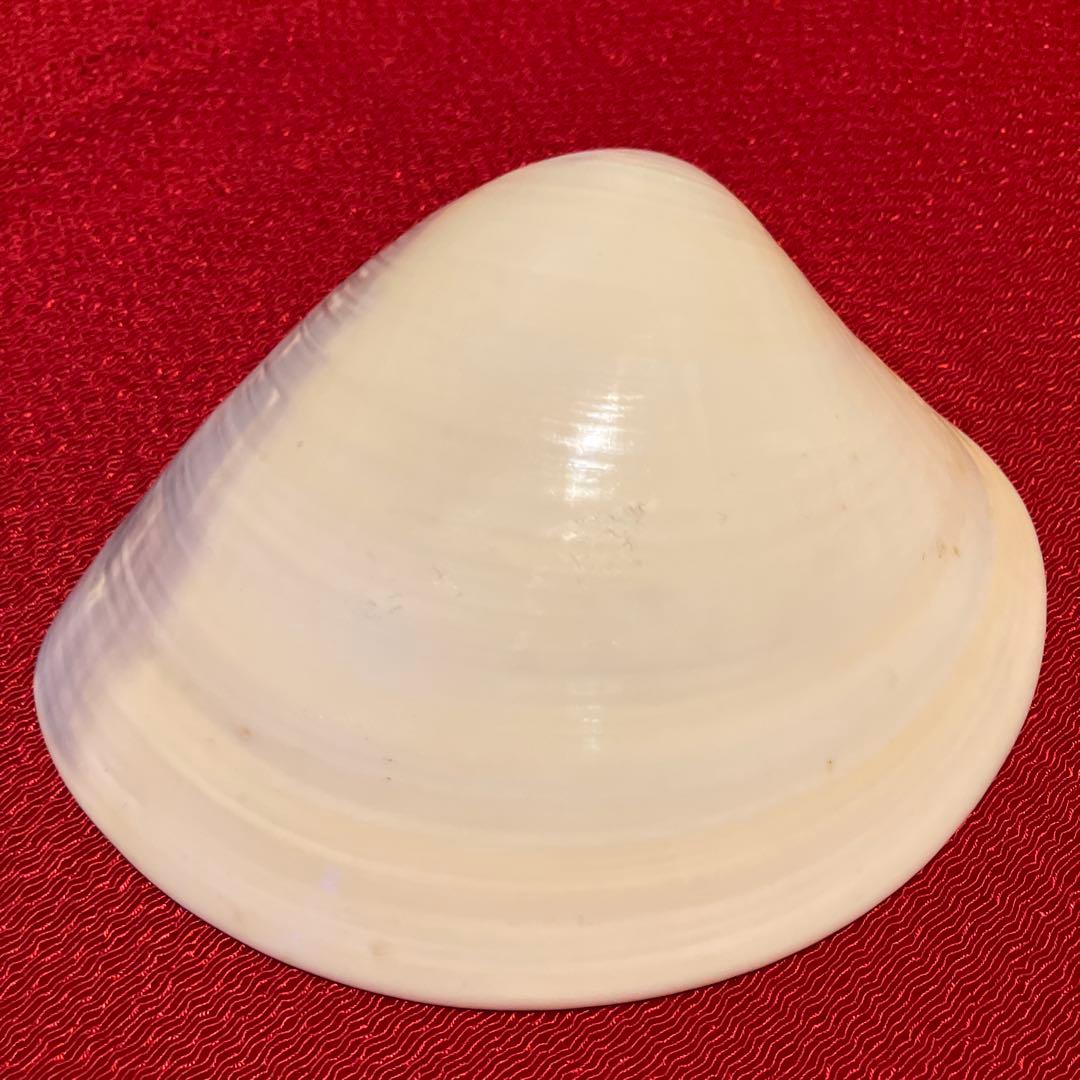 貝合わせ 池坊専好立花図 金彩蛤香合