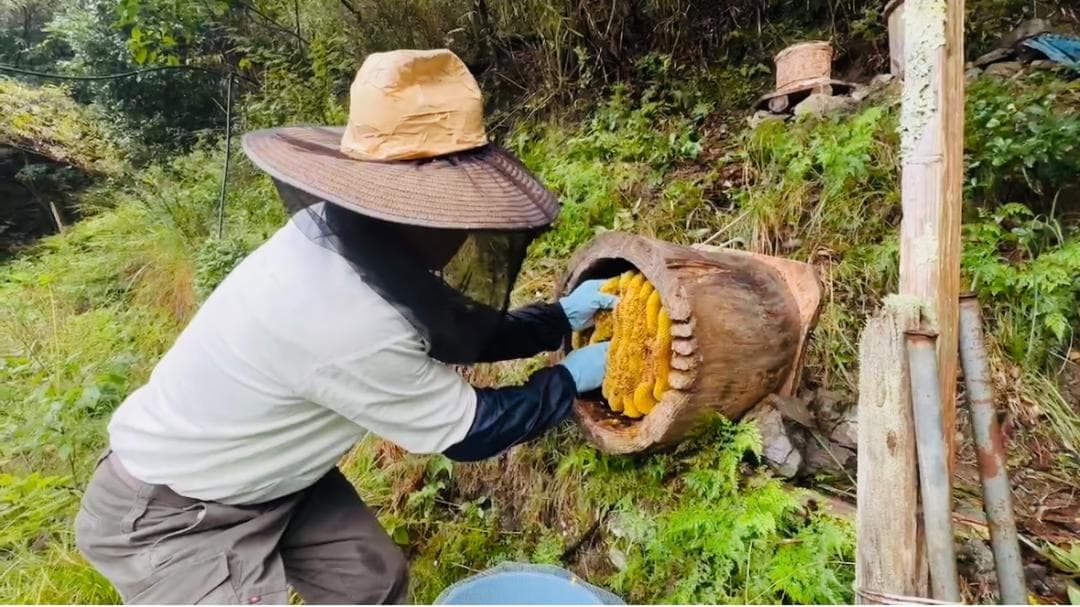 二ホンミツバチの天然非加熱・無農薬・無添加蜂蜜　2本セット