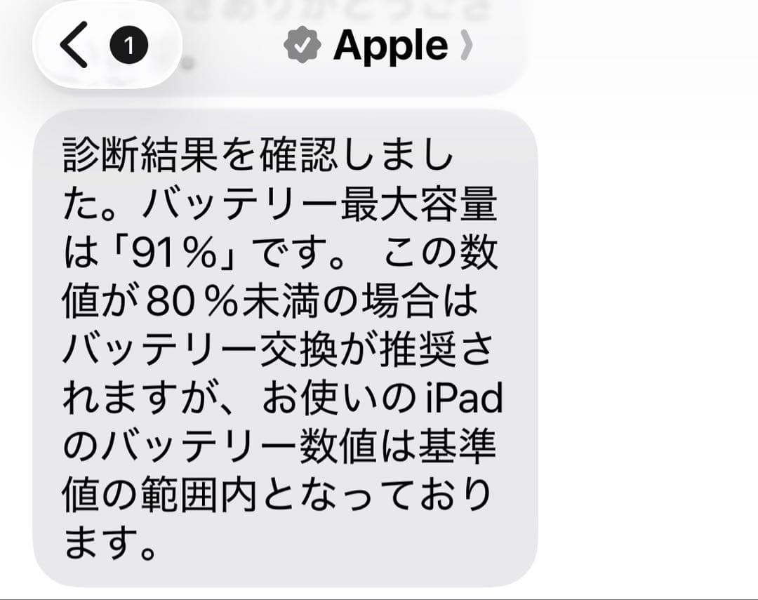 iPad mini 第6世代 Wi-Fi + Cellular 美品