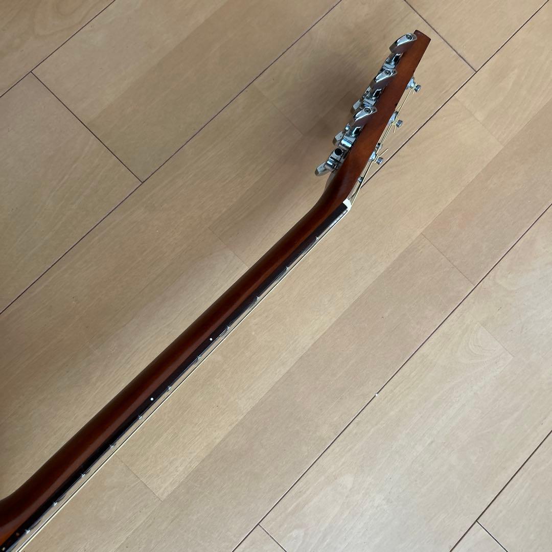 サイモン&パトリック モデル S&P6 シダー トップ単板