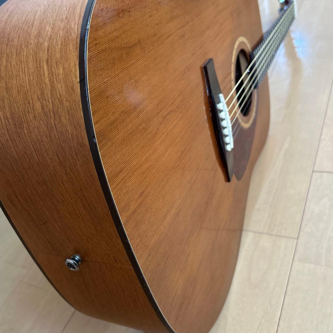 サイモン&パトリック モデル S&P6 シダー トップ単板