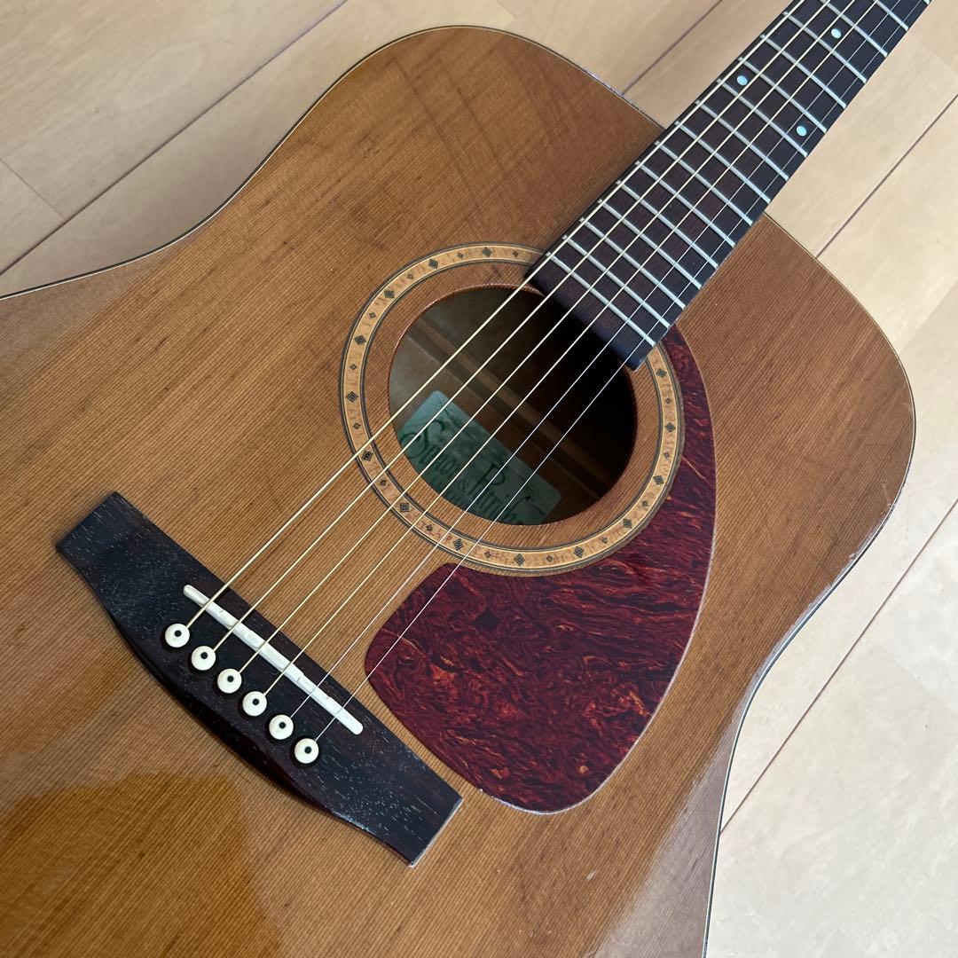 サイモン&パトリック モデル S&P6 シダー トップ単板