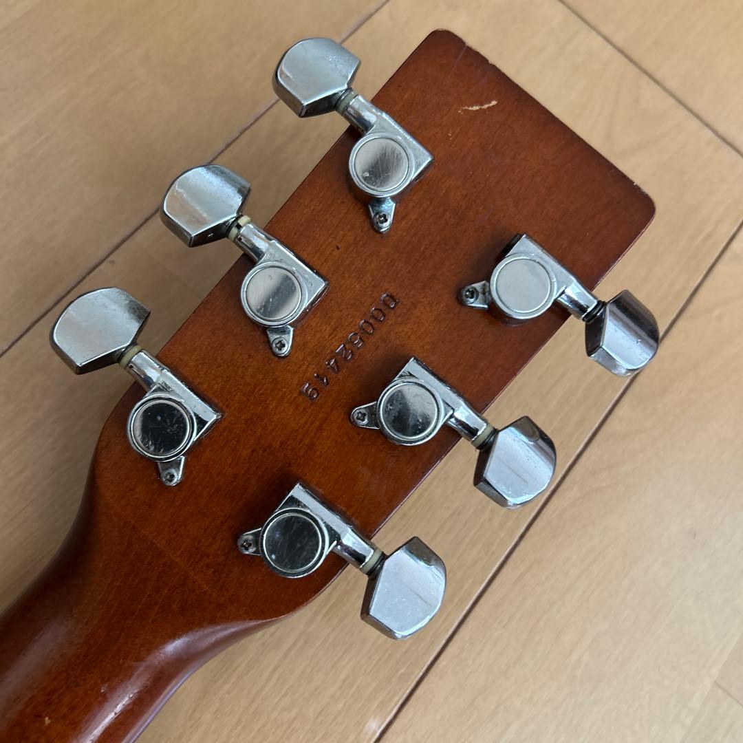 サイモン&パトリック モデル S&P6 シダー トップ単板