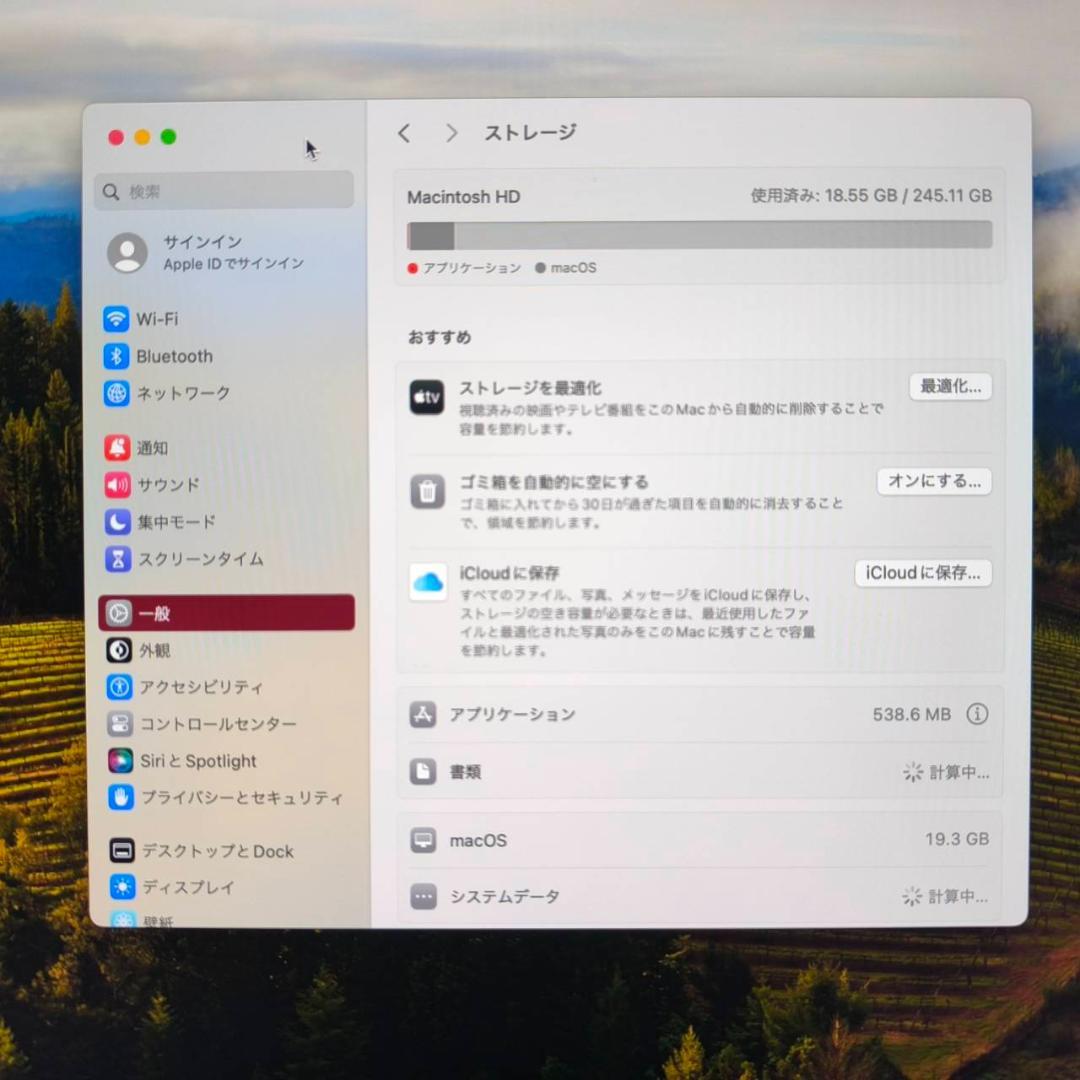 Apple iMac M3 メモリ24GBストレージ256GB 24インチ整備品