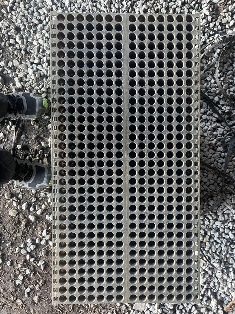 専用育苗箱 みのる ポットシステム