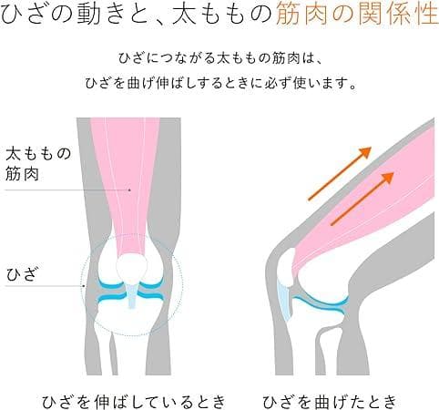 SIXPAD Knee Fit コントローラーセット Mサイズ