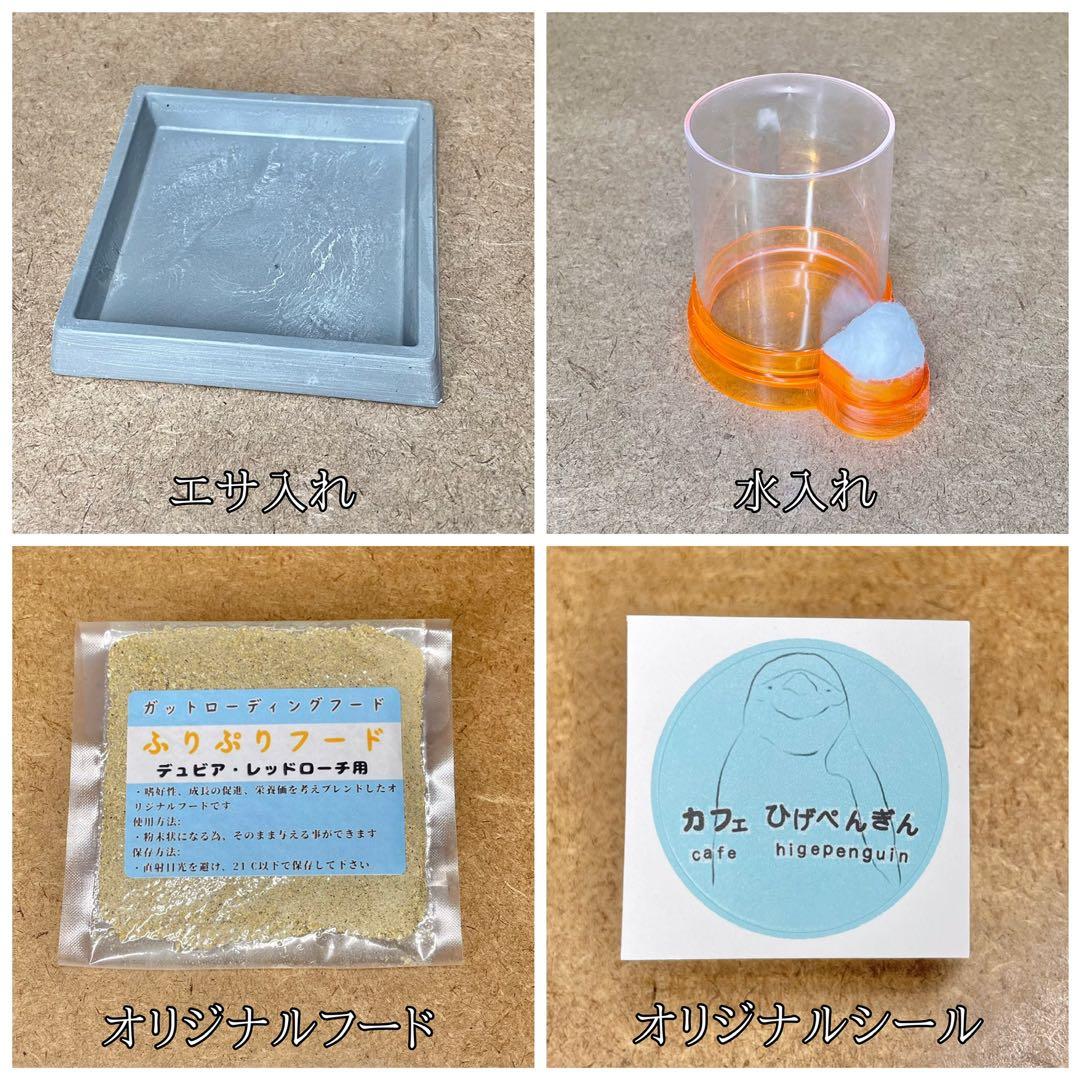 くに様　M(フル)