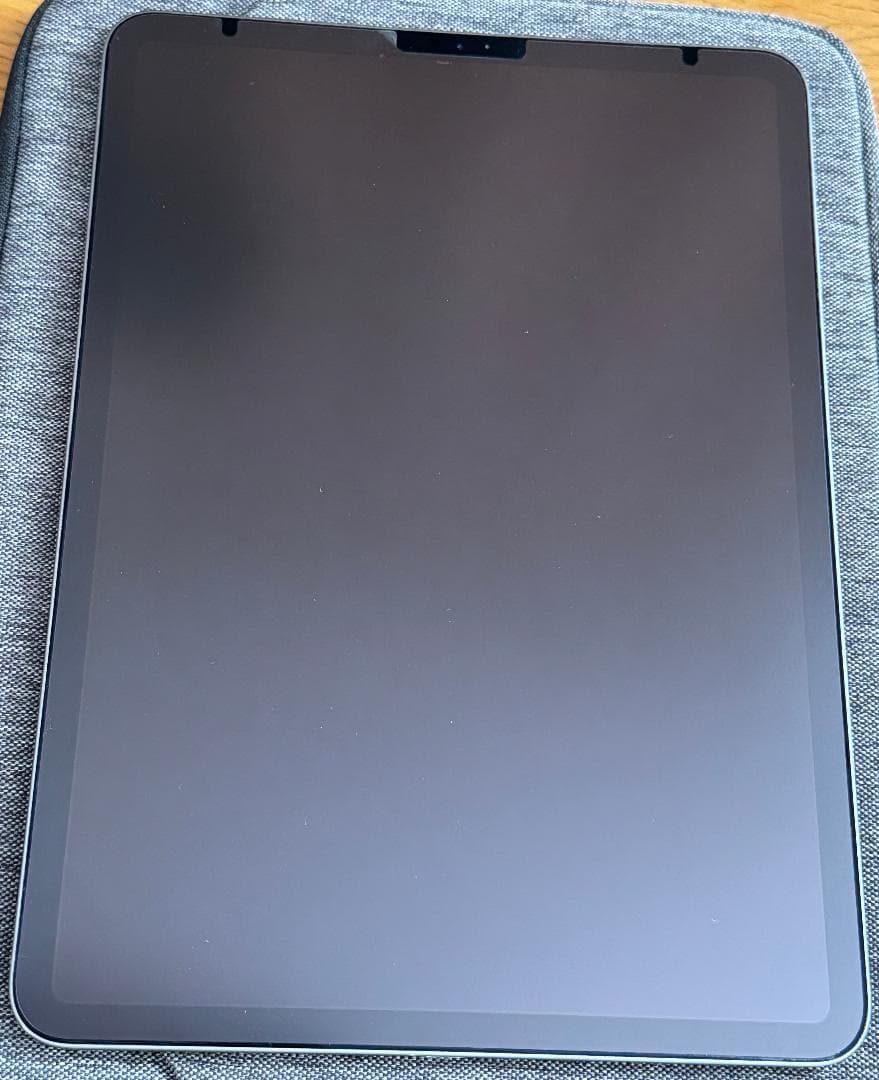 iPadPro11 256G 第1世代 Wi-Fi