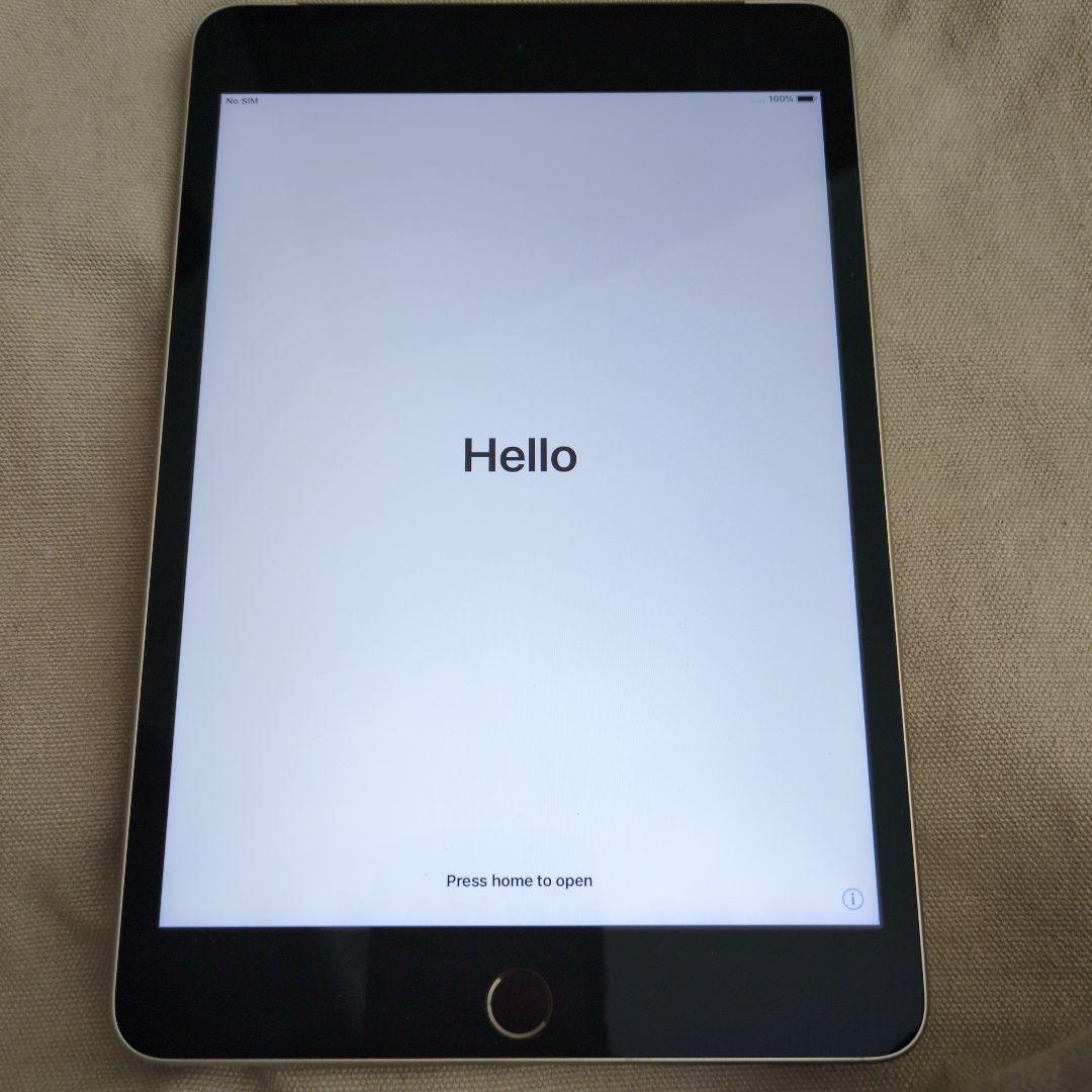 Apple iPad mini 4 Wi-Fi＋Cellular　128GB