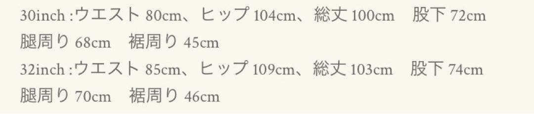 スタンダードカリフォルニア2025AW/ダブルニーペインターパンツ