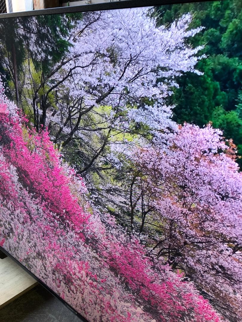 ソニー 75V型 液晶テレビ BRAVIA KJ-75Z9F 4K 2018年製