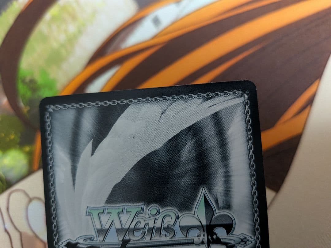 ヴァイス　守るべき大切なもの　なのは　SSP　サイン