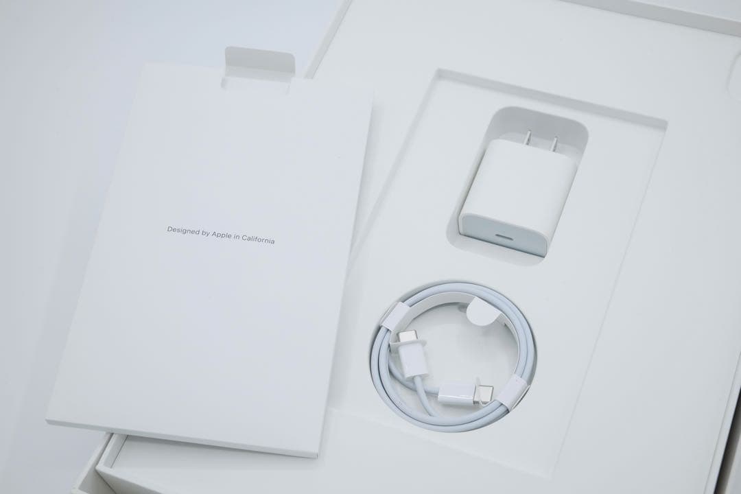 iPad Pro 第5世代 1TB Wi-Fi+Cellular