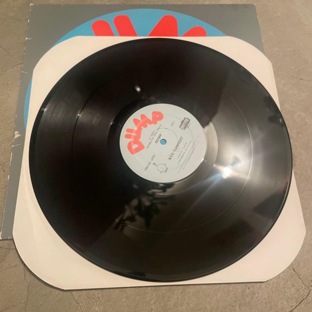 レア dump nyc tonight LP 坂本慎太郎
