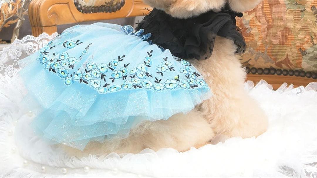 リュクスバーディLuxe birdieシルエットワンピバレッタセットブルー犬服