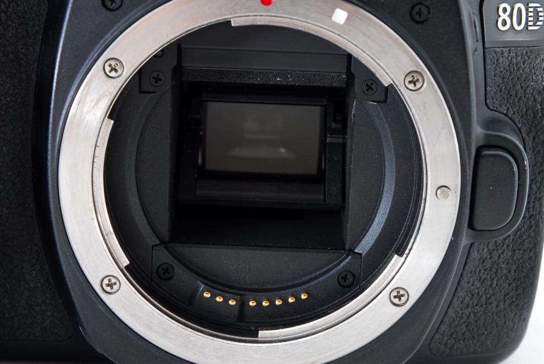 Wi-Fi搭載☆Canon EOS 80D 標準&望遠&単焦点レンズセット