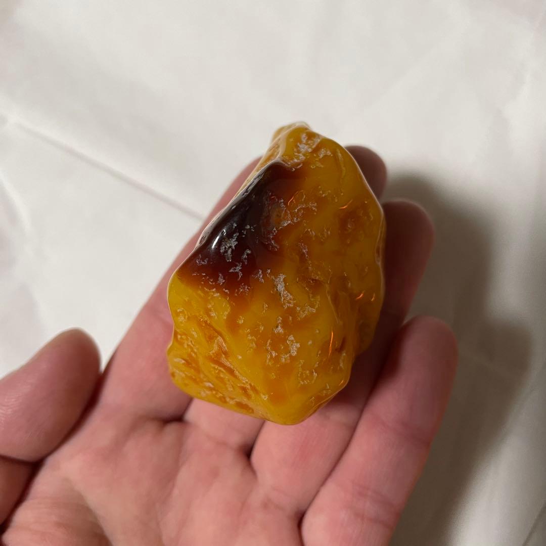 置物 seika01069982