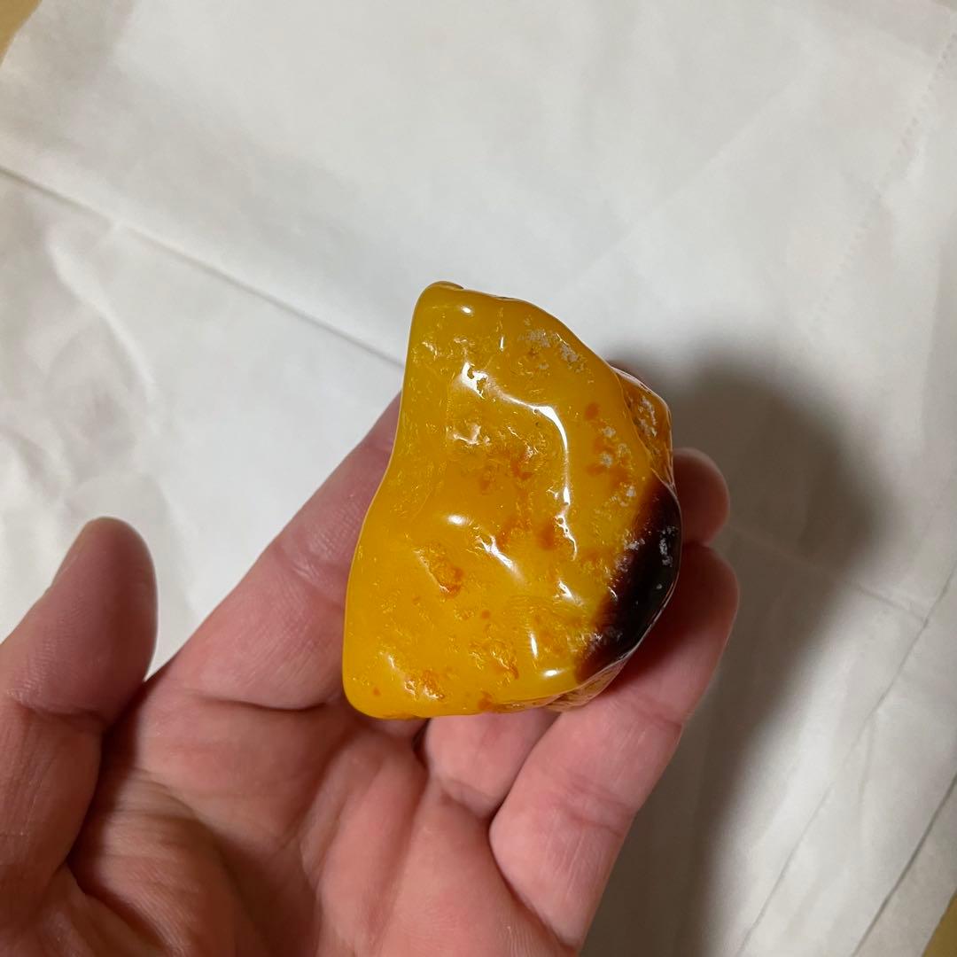 置物 seika01069982