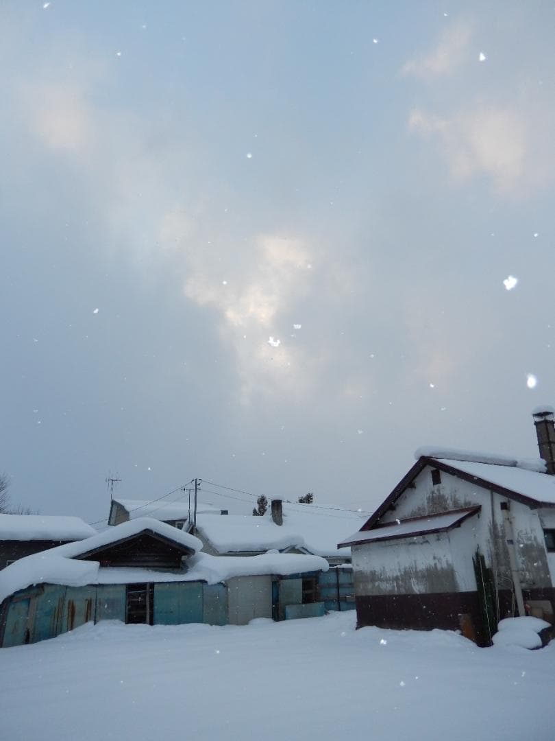 本体新等品　ニコンcoolpixS9500　テスト撮影済　画像多数