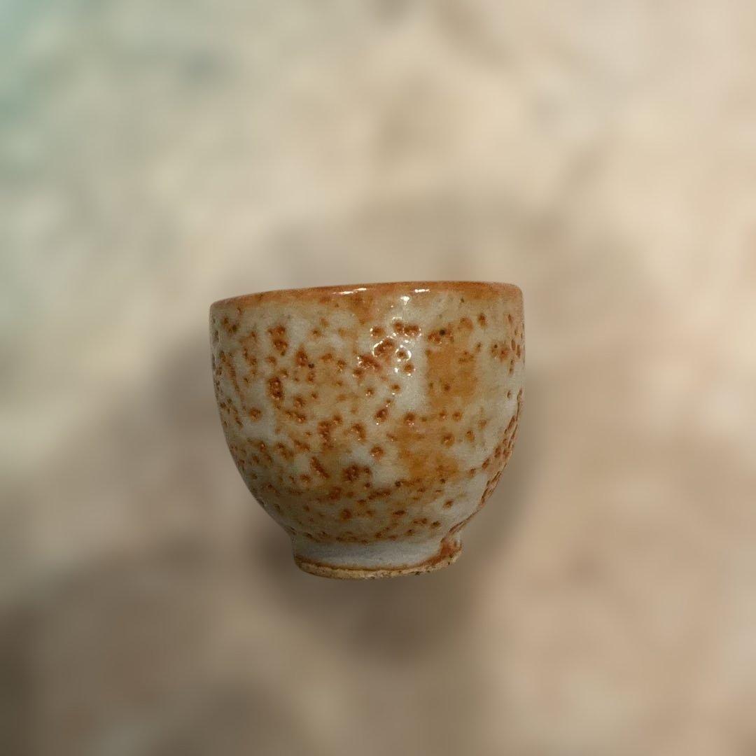 エコ ウォーターお買い得品 格安1000ml