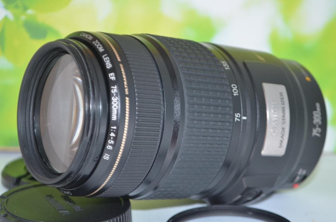 美品 Canon EF 75-300mm IS USM☆望遠レンズ☆フィルター付